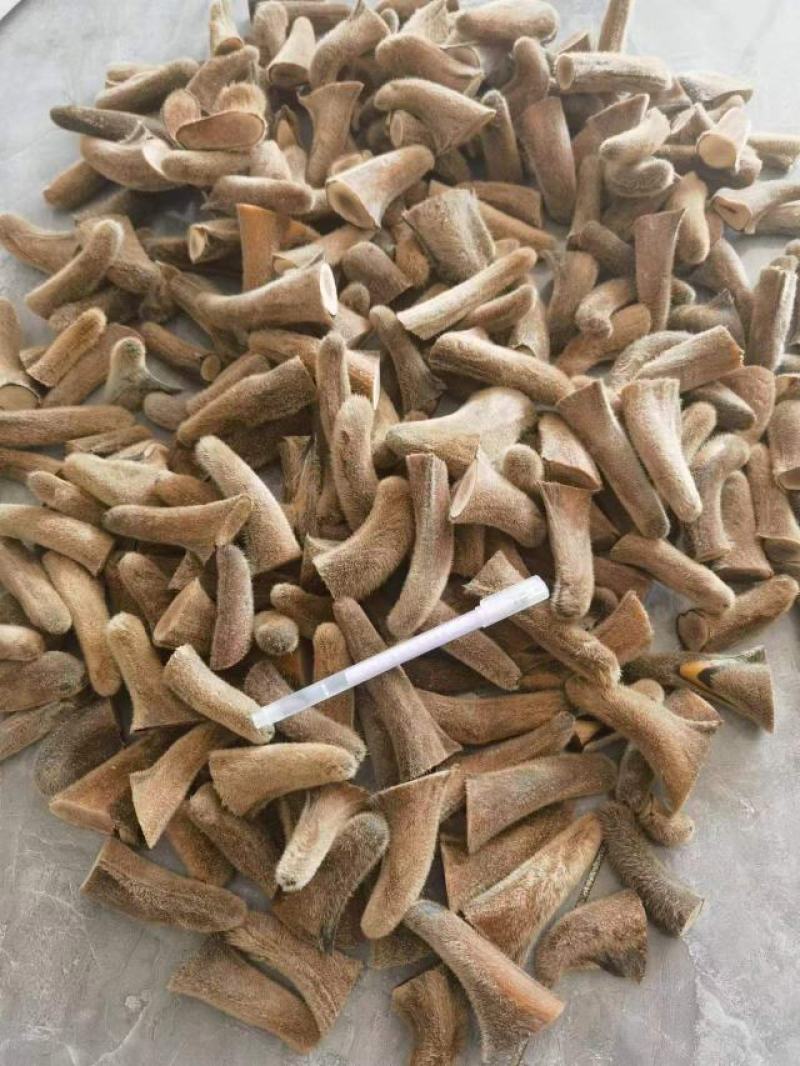干鹿茸批发吉林长春梅花鹿养殖场腊片粉片鹿茸头段礼盒