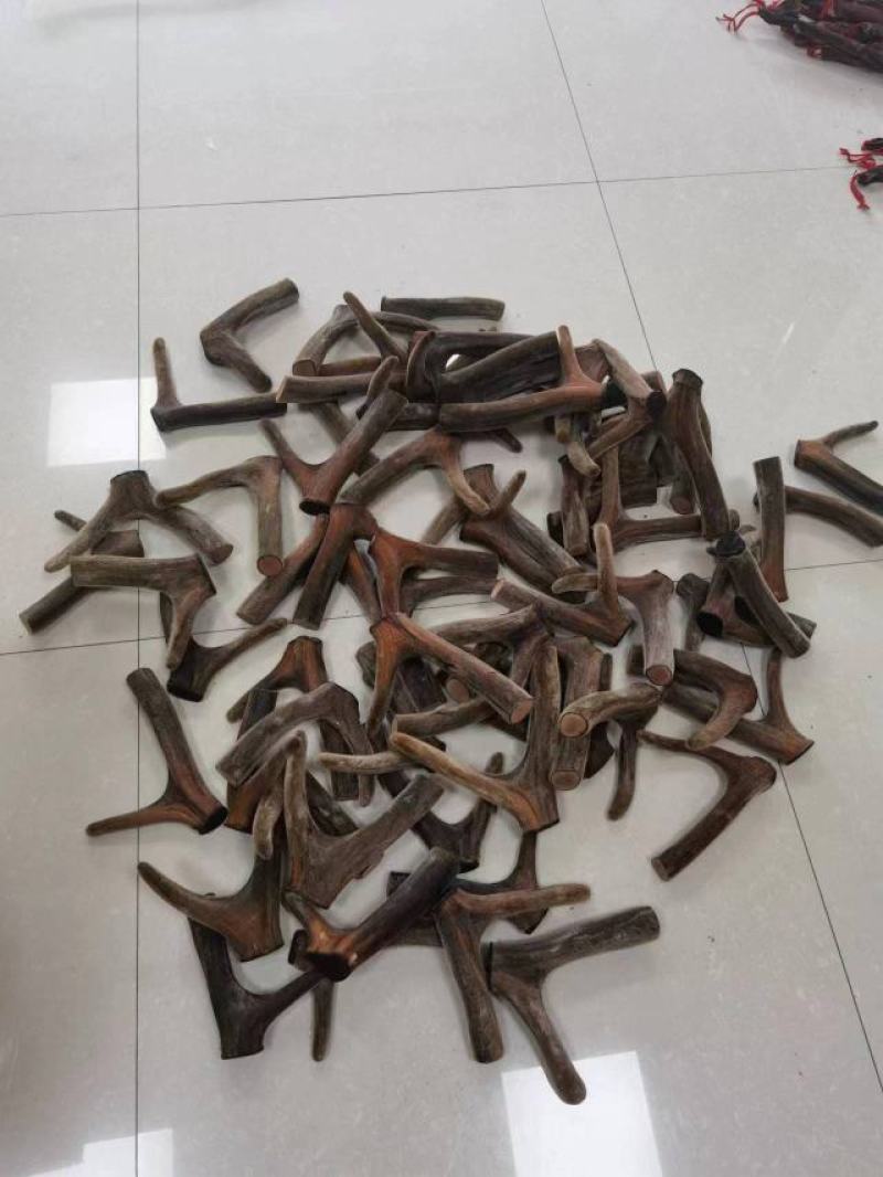 干鹿茸批发吉林长春梅花鹿养殖场腊片粉片鹿茸头段礼盒