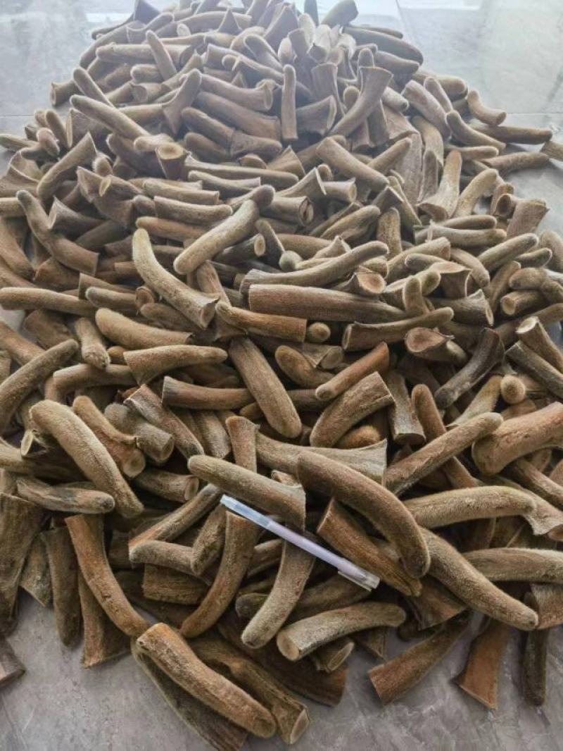 干鹿茸批发吉林长春梅花鹿养殖场腊片粉片鹿茸头段礼盒