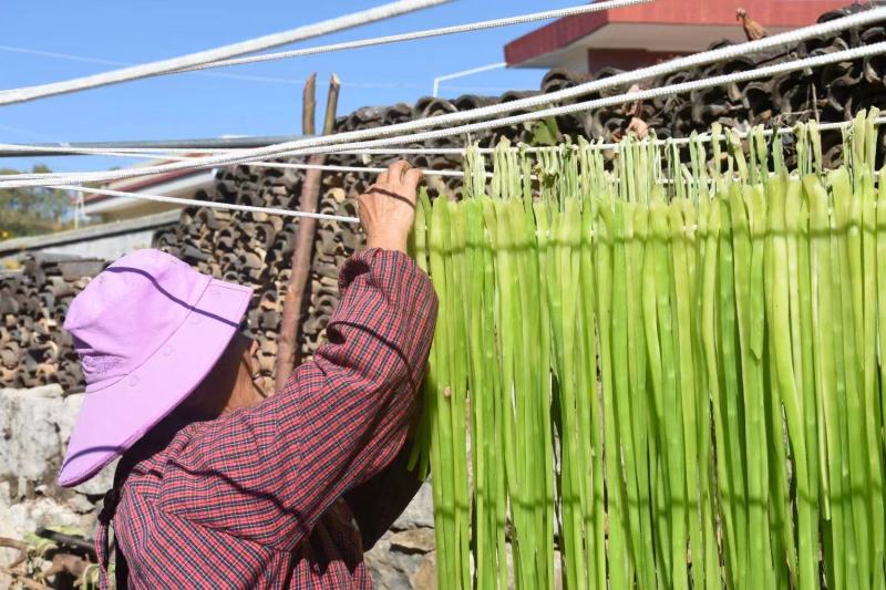 云南贡菜干货，断裂，毛料，货源充足，支持一件代发