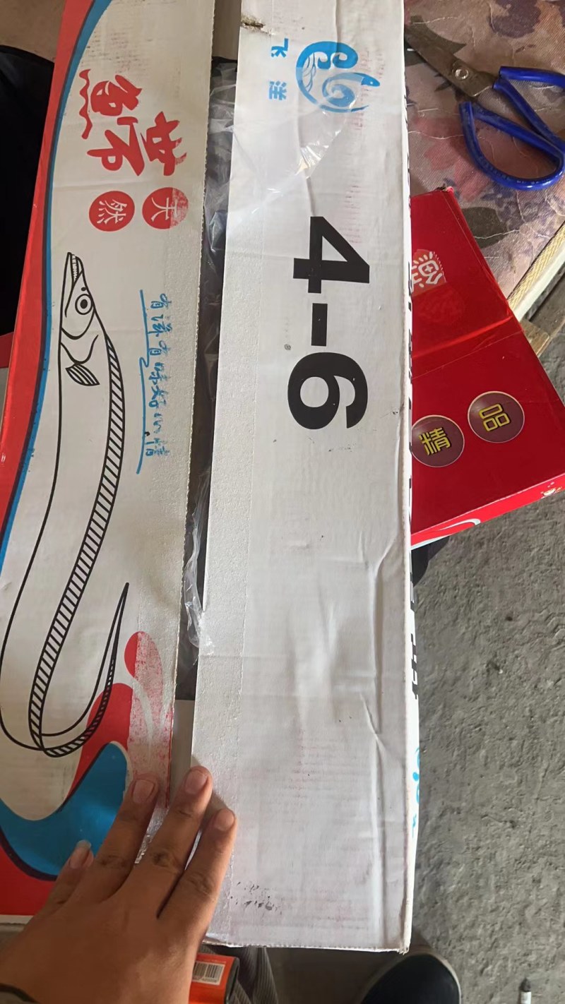 精品4-6超白舟山带鱼产地直发欢迎老板合作共赢