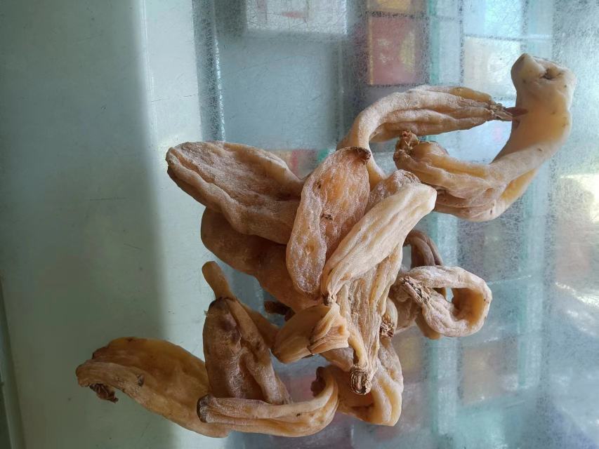 专业级对比图谱,系统呈现灵芝从鲜品→干品→切片→微观结构的完整转化链,强调形态学连续性与质量稳定性,适用于科普教育、药店培训及电商平台详情页视觉传达 灵芝全周期对比图谱:四宫格排布,左上为新鲜灵芝子实体鲜亮特写,右上为阴干后未切原芝侧视图,左下为规范切片堆叠效果,右下为显微镜下灵芝切片组织切片染色图(显示菌丝束与孢子囊结构)