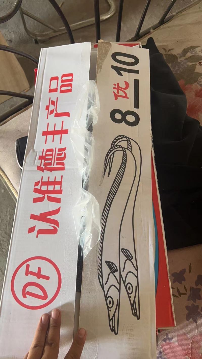舟山带鱼超白规格多样港口直供货量大价格优电联采购
