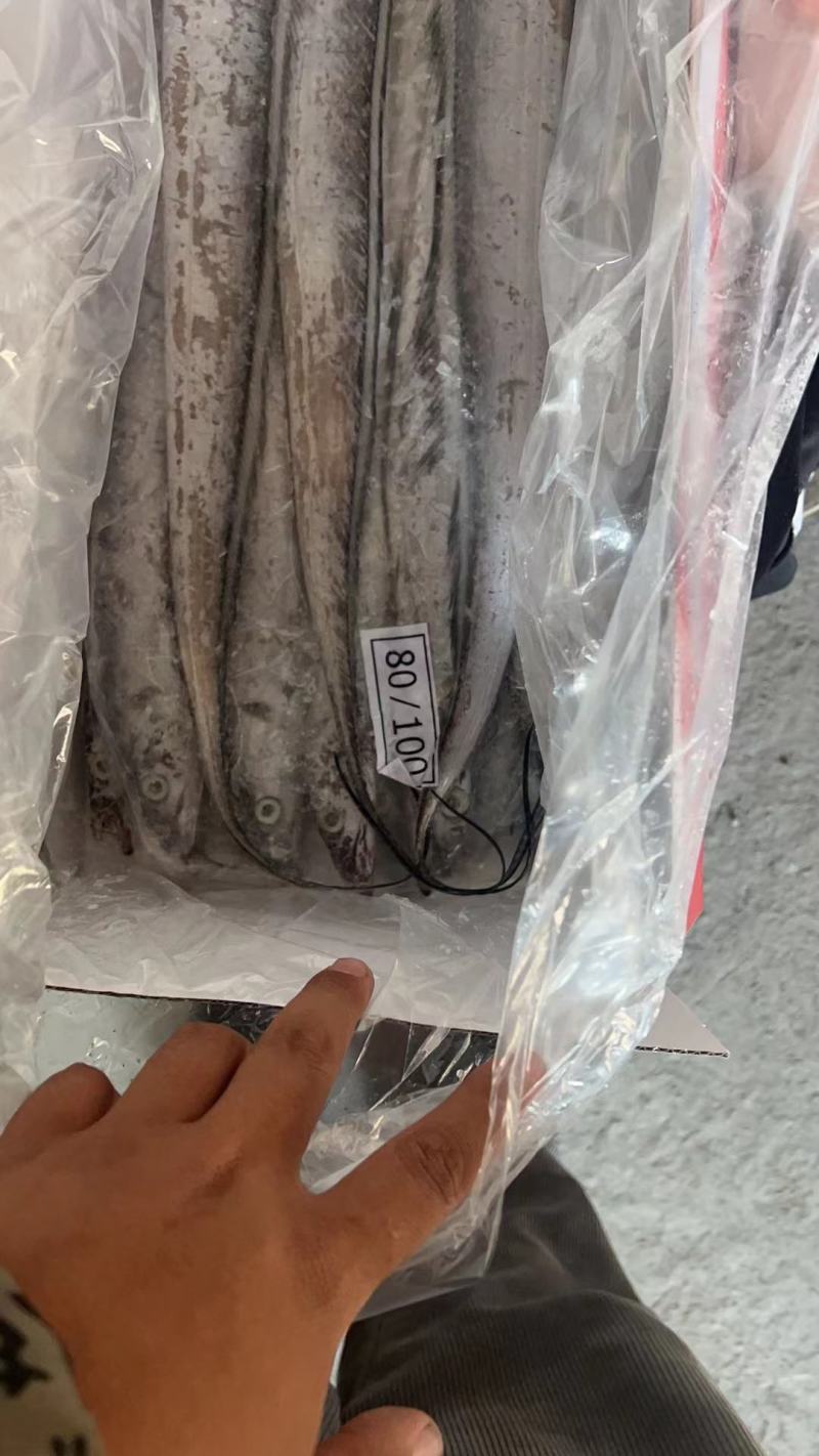 舟山带鱼超白规格多样港口直供货量大价格优电联采购