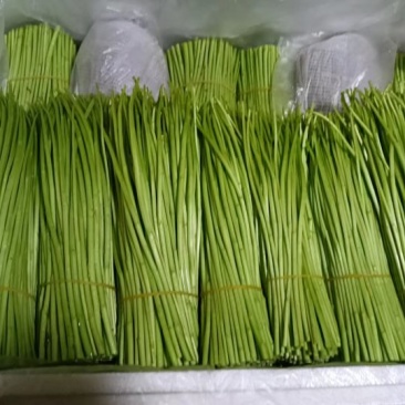 精品藜蒿，欢迎来电