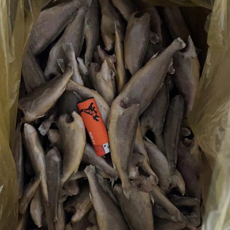 去头黄花鱼小黄鱼大黄鱼每箱净重12斤优质货源电联优惠