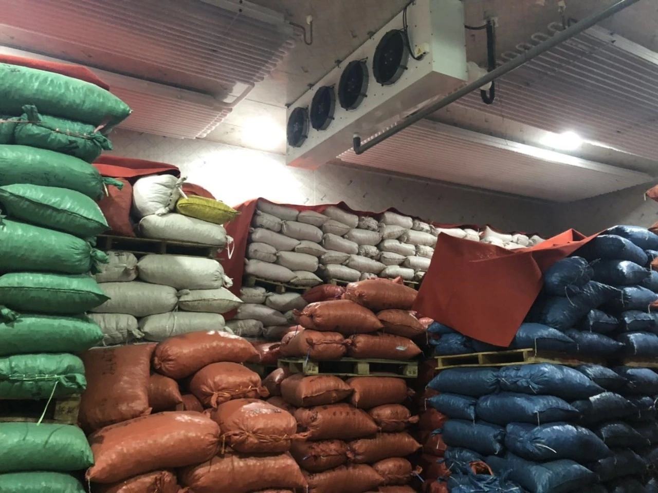 迁西板栗包装与保存示意图