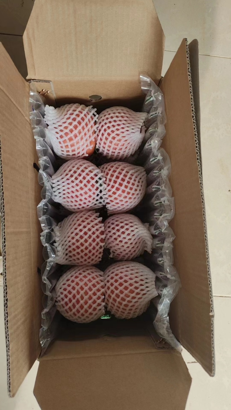【顺丰包邮】西红柿正宗草莓西红柿现摘现发【一件代发】