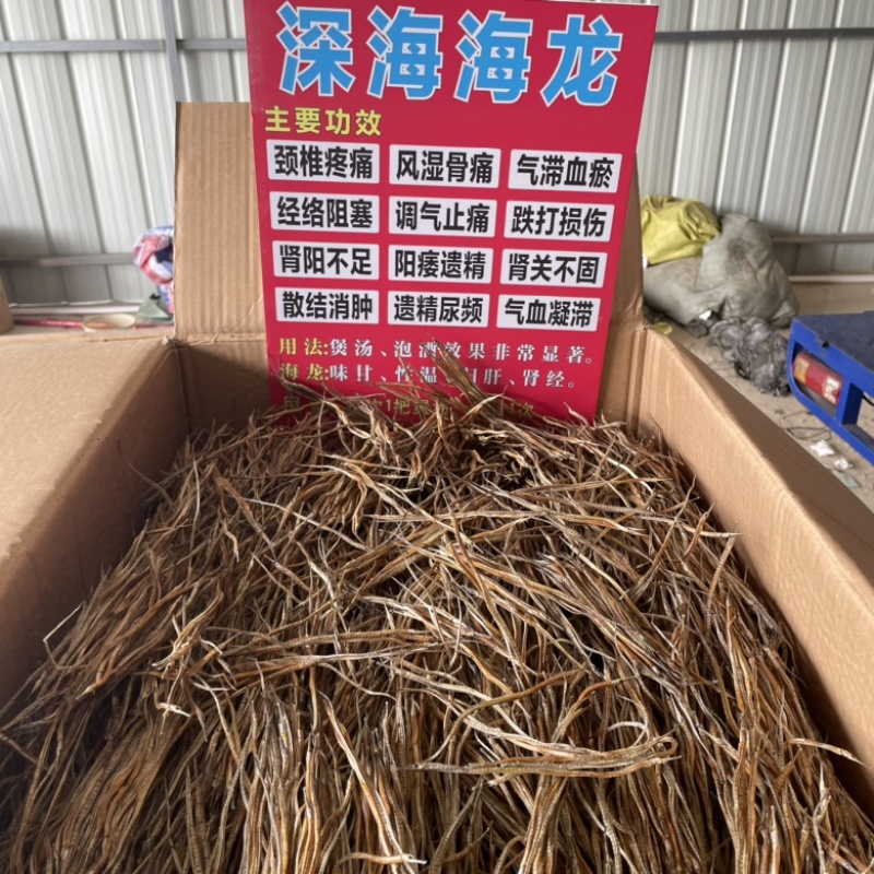海龙干深海小海龙海龙鱼干泡酒海龙干地摊展会批发