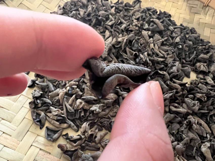 黑木耳的实物图