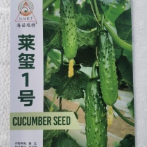 水果黄瓜种子莱玺1号海诺瑞特精品耐寒耐热翠绿油亮脆甜