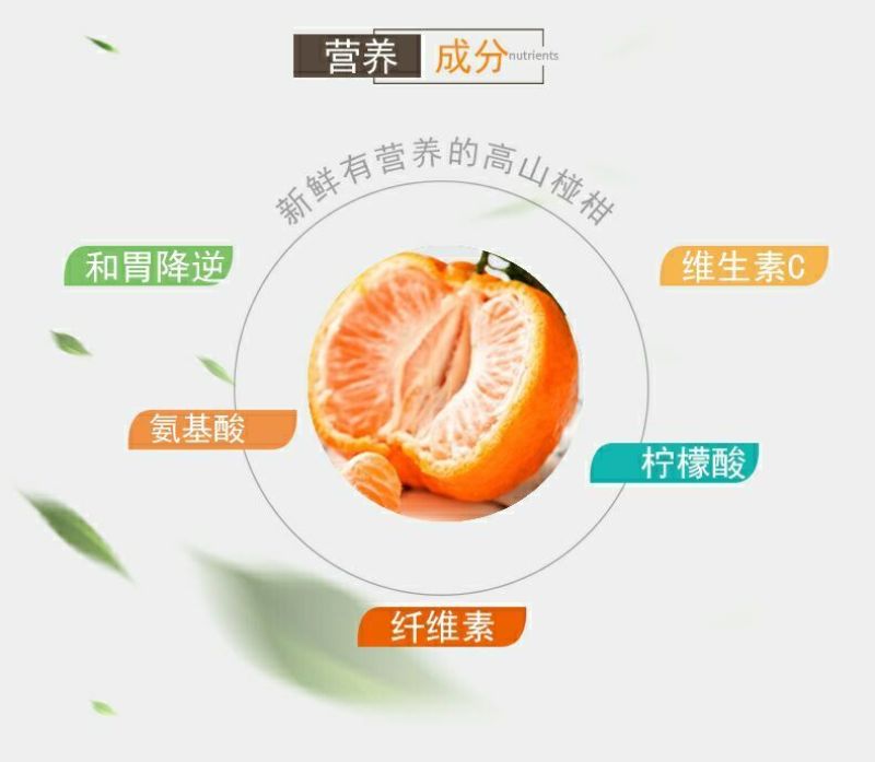 一年一度的碰柑即将大量上市，全网对接所有平台，谢谢