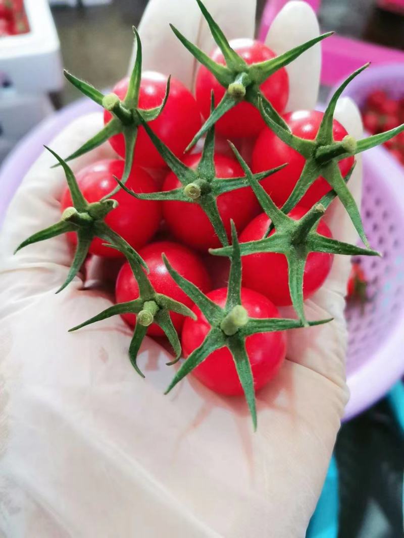电白千禧，大量有货，对接市场，商超，有需要的老板可以联系