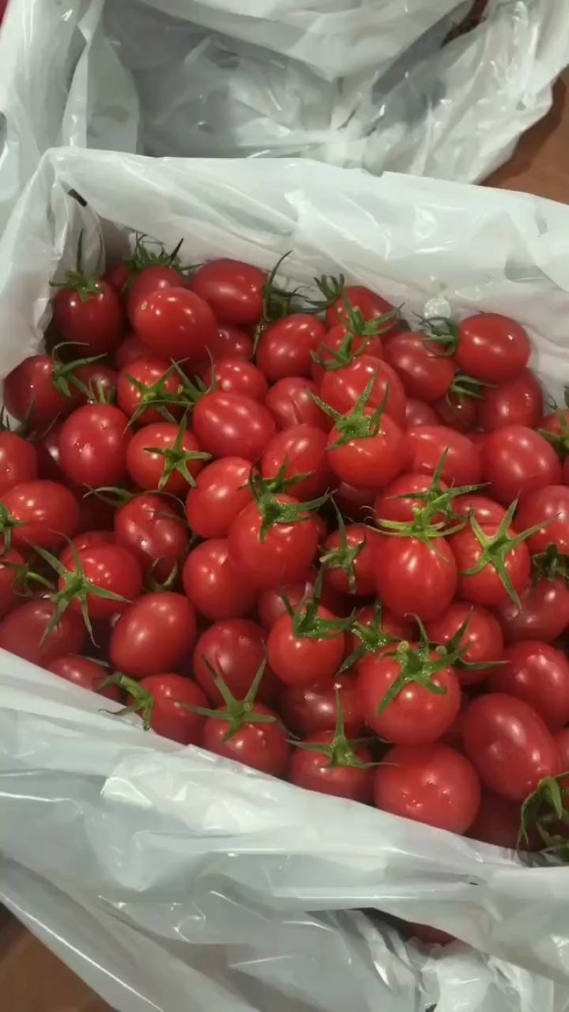 电白千禧，大量有货，对接市场，商超，有需要的老板可以联系