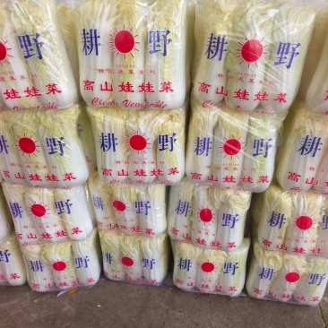 娃娃菜
