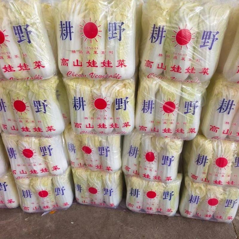 娃娃菜