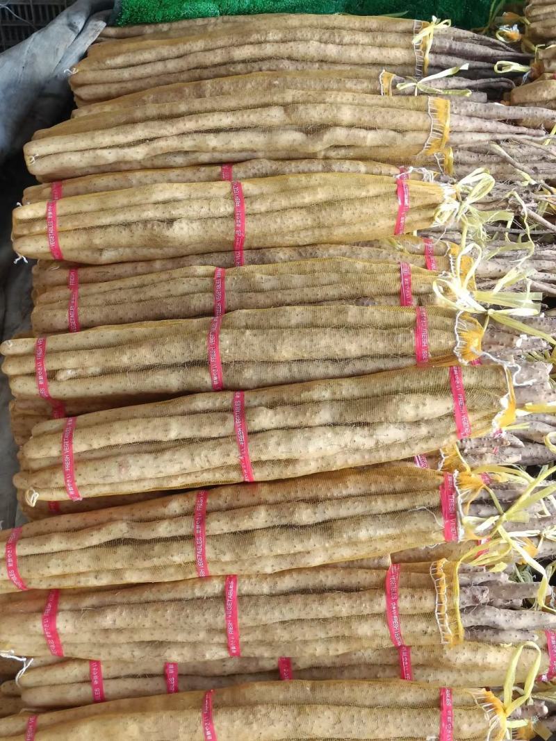 小白嘴白山药口感特面特甜产地直发全国各地都可以发货，