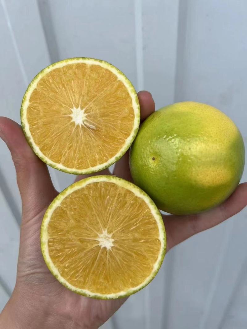 【精品冰糖橙】甜度高入口化渣水分足表皮干净颜色靓丽价格优