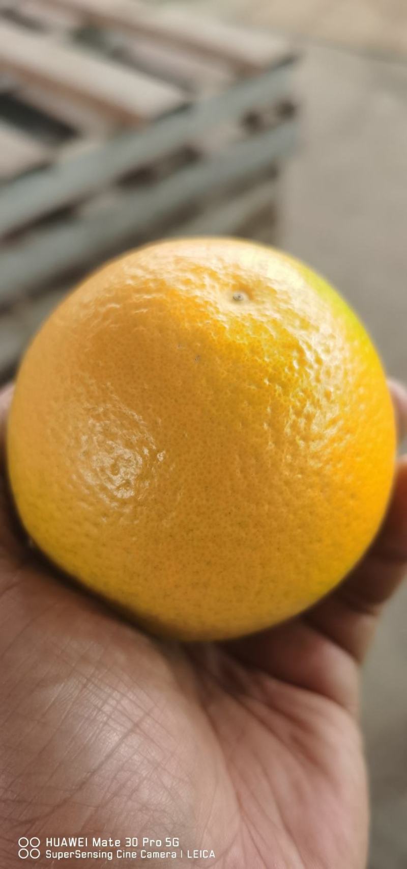 【精品冰糖橙】甜度高入口化渣水分足表皮干净颜色靓丽价格优