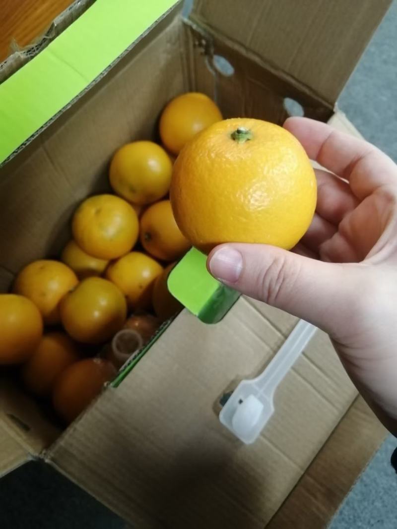 【精品冰糖橙】甜度高入口化渣水分足表皮干净颜色靓丽价格优