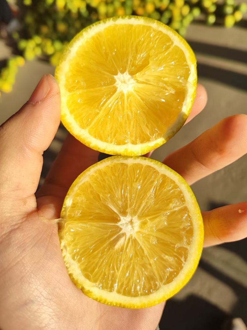 【精品冰糖橙】甜度高入口化渣水分足表皮干净颜色靓丽价格优