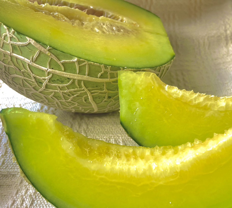 可口蜜瓜果实特写