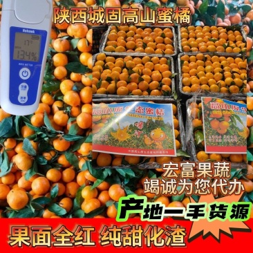 陕西城固桔子普早蜜橘规格齐全口感纯甜化渣