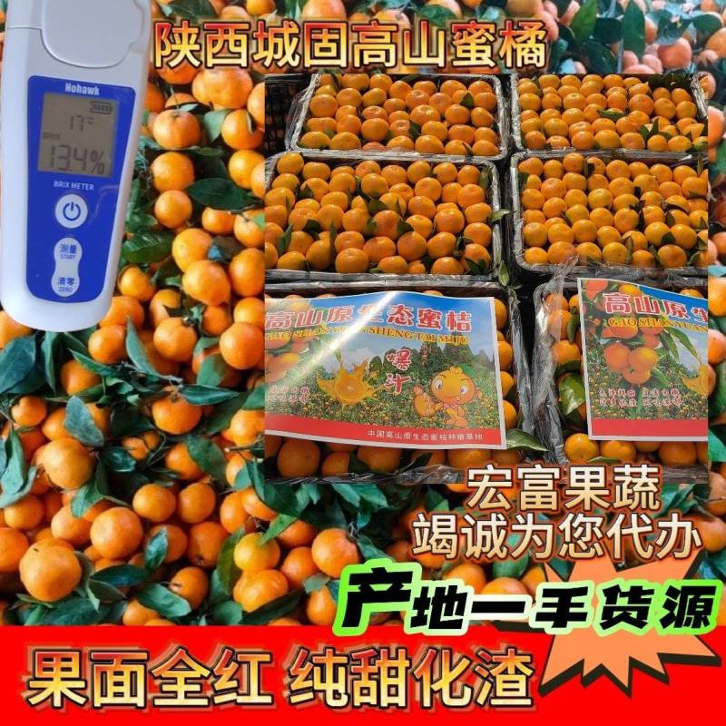 陕西城固桔子普早蜜橘规格齐全口感纯甜化渣