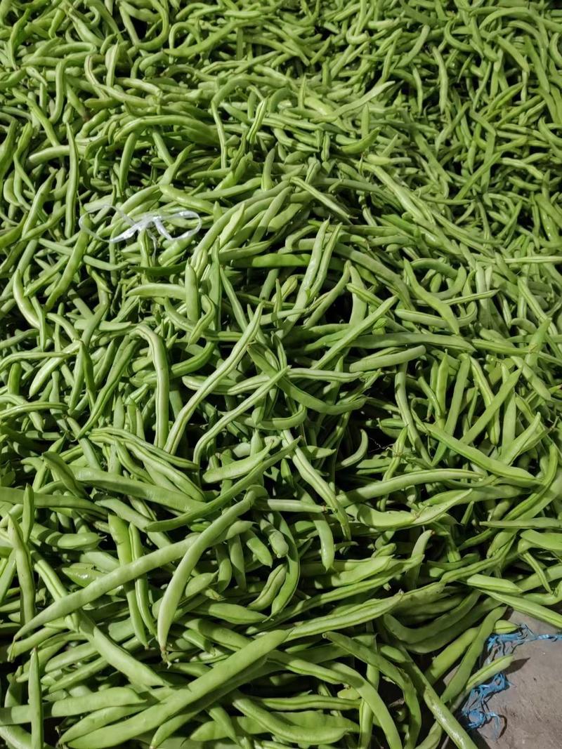 四季豆，小金豆。产地一手货源，各种蔬菜瓜，货量充足。
