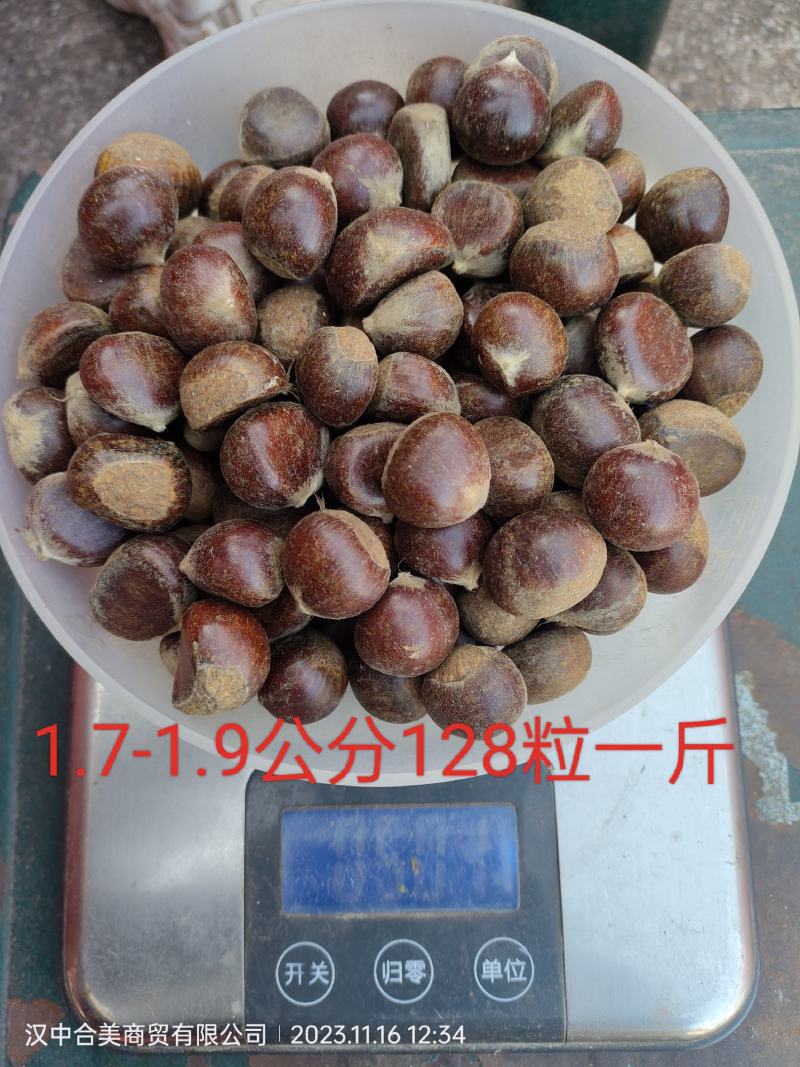 陕西汉中筛选板栗陕西油栗筛货，陕西毛栗
