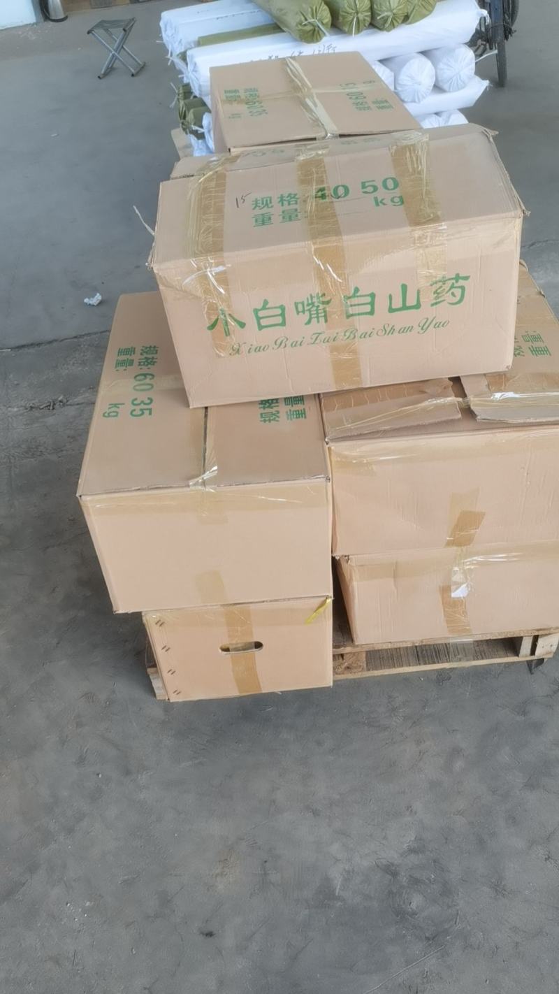 全国供应河北小白嘴山药规格齐全可加工定制