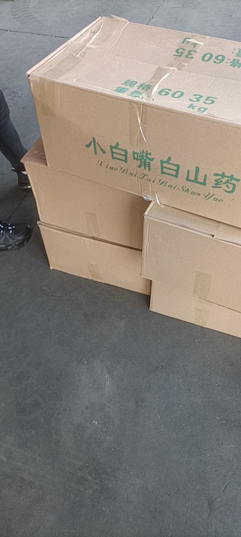 全国供应河北小白嘴山药规格齐全可加工定制