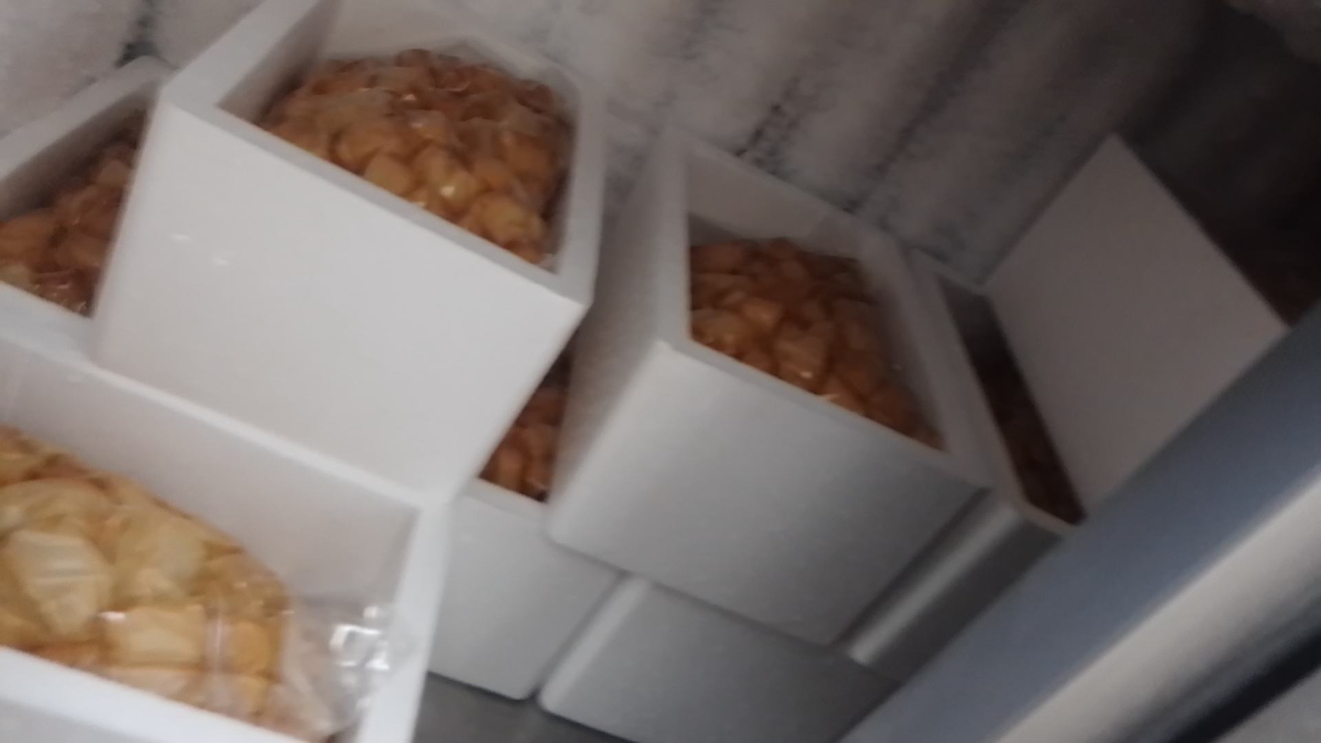 高油大豆在食品加工中的应用