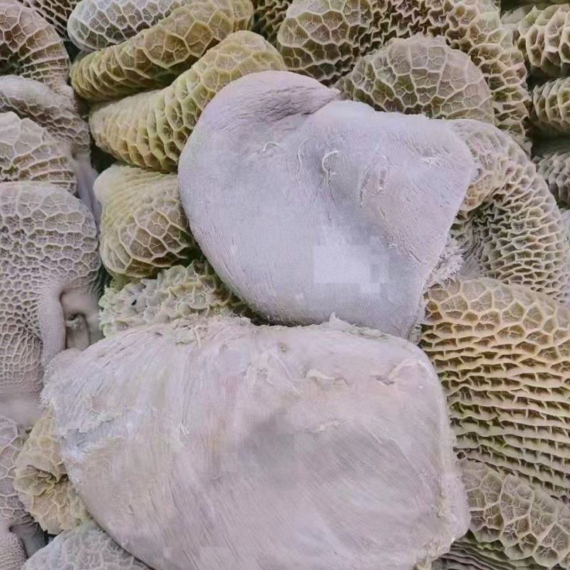 【熟食金钱肚】全熟水煮金钱肚精修无油一件三十斤