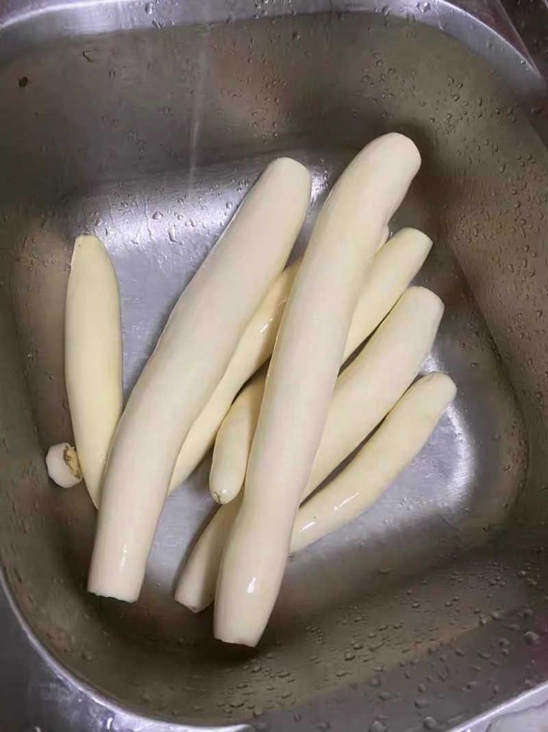 广西新鲜去皮黄肉木薯，面包木薯批发