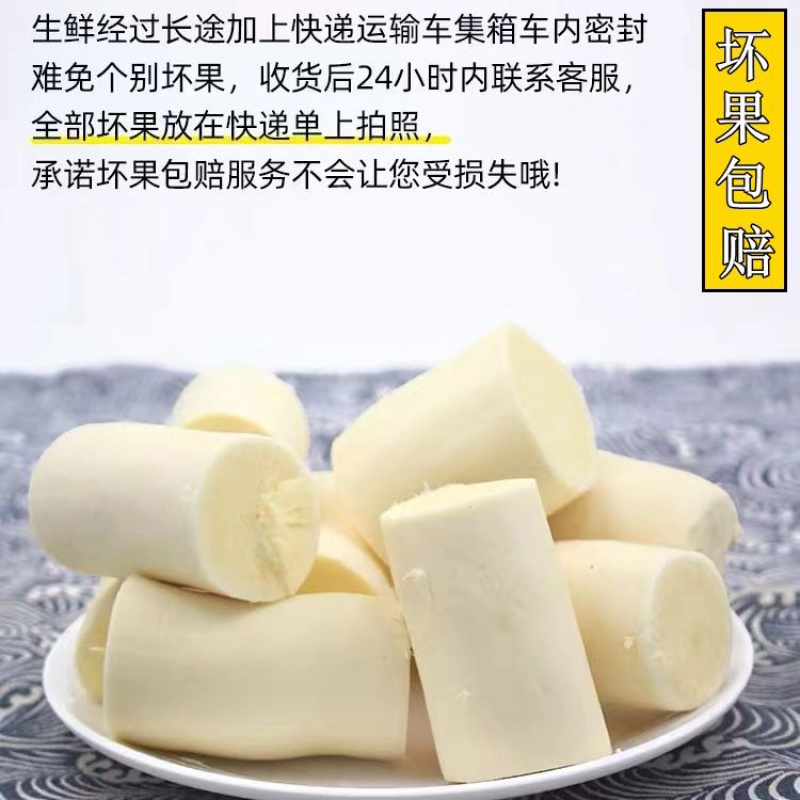 广西新鲜去皮黄肉木薯，面包木薯批发