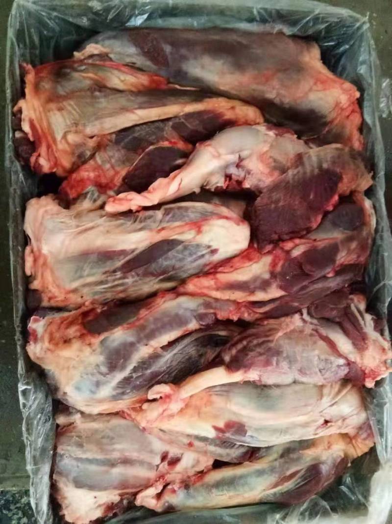 西门塔尔公牛肉