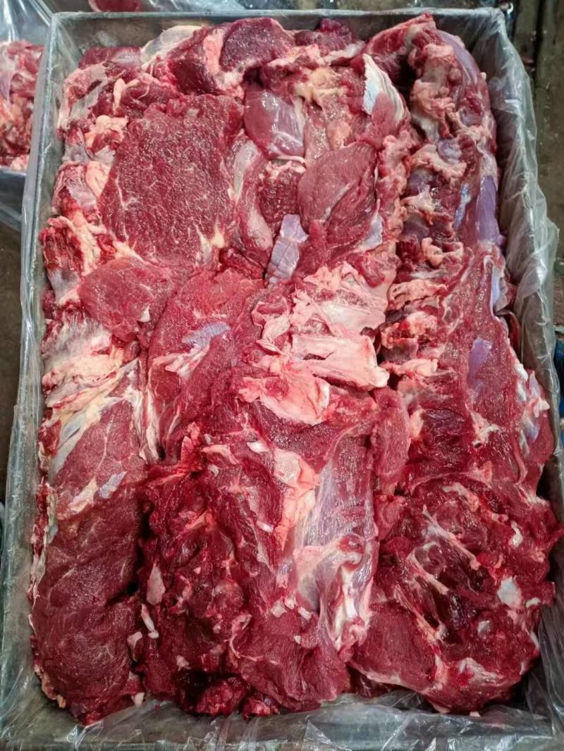 西门塔尔公牛肉