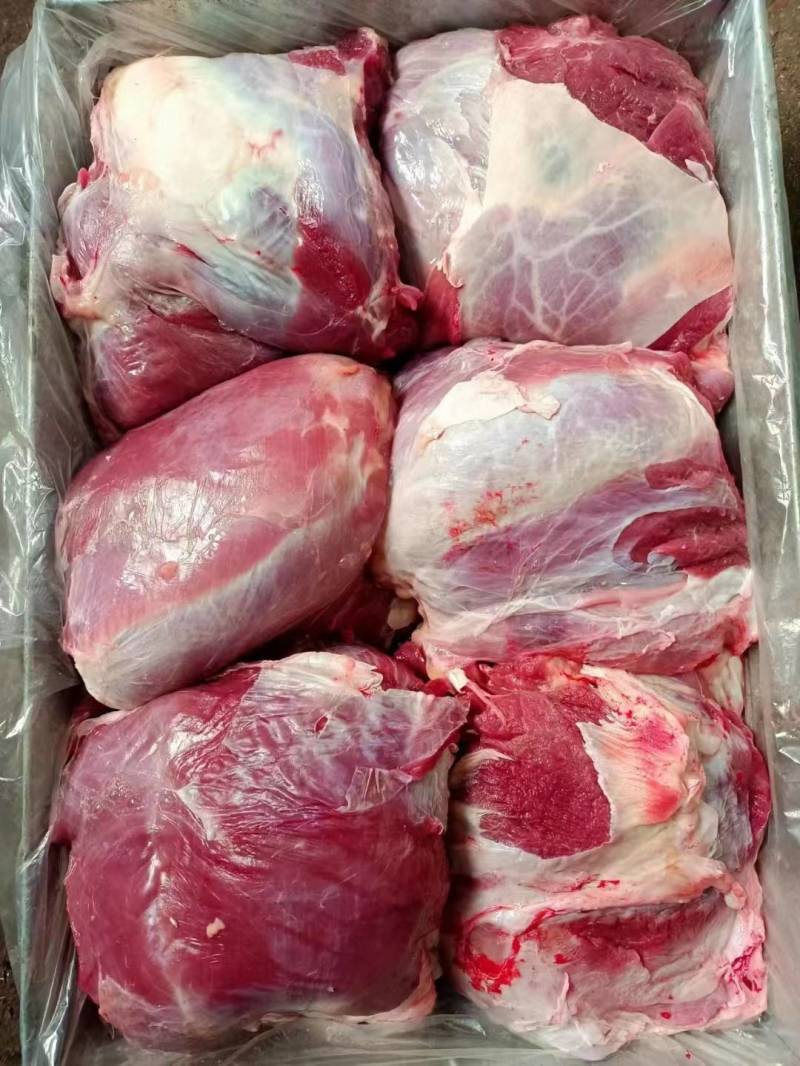 西门塔尔公牛肉
