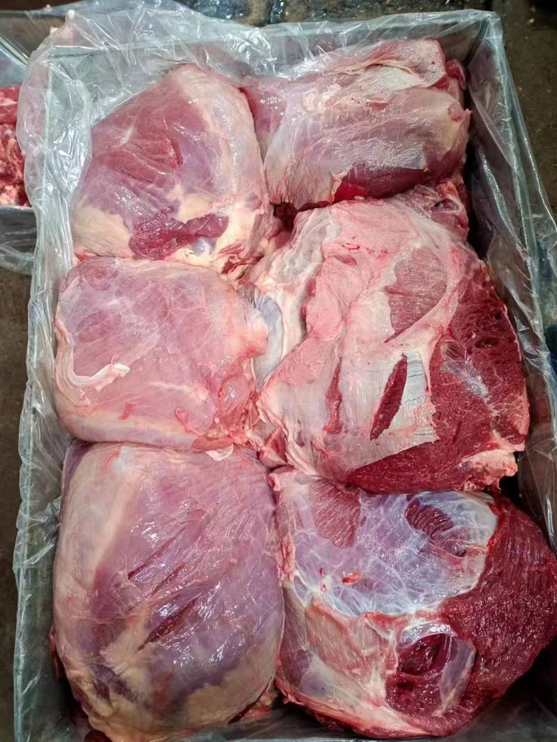 西门塔尔公牛肉