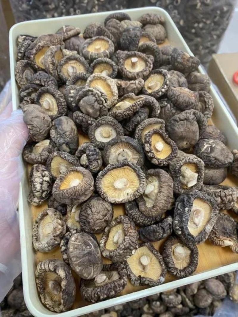 【包邮】香菇干批发干货商用香菇干无根深山蘑菇干