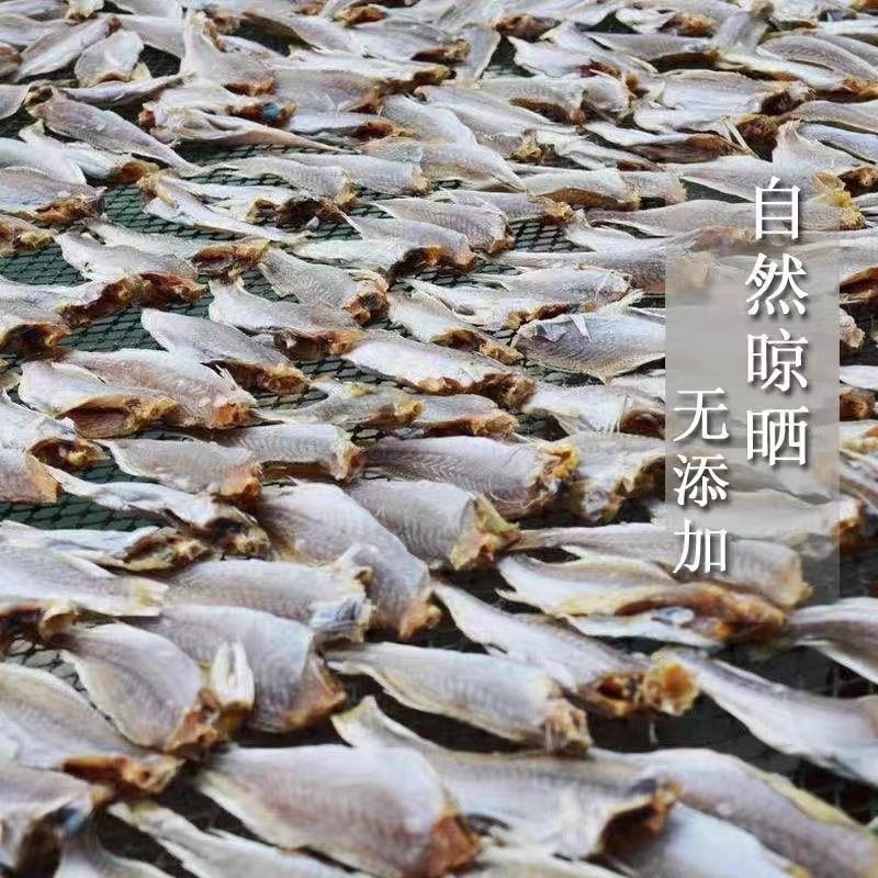 黄花鱼展会地摊电商营小黄花鱼干干鱼
