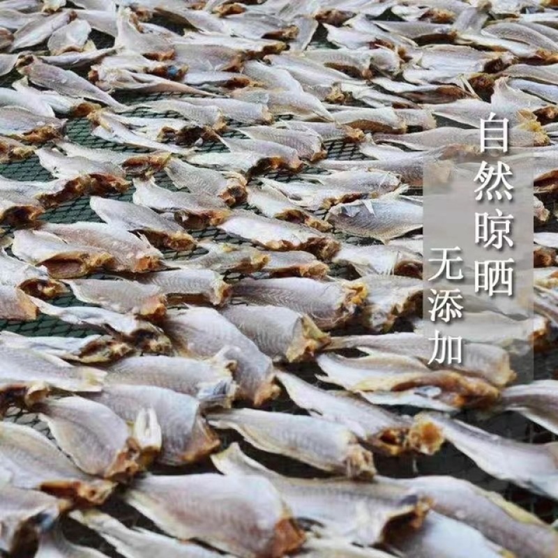 黄花鱼展会地摊电商小黄花鱼干干鱼
