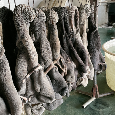 国产纯干水退全熟牛肚厂家直发常年加工大量批发价格便宜