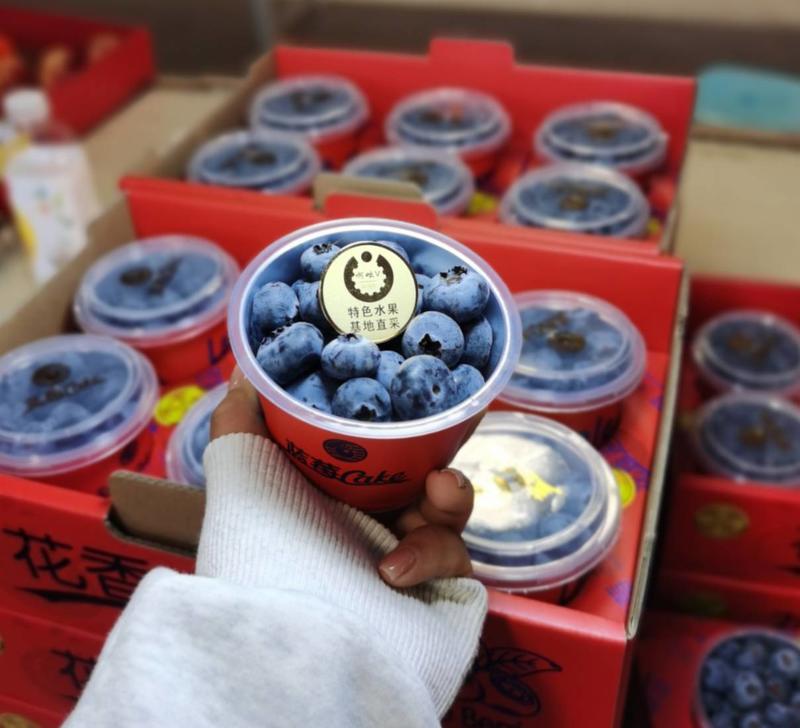 云南新鲜蓝莓，L25L11F6优瑞卡，基地一手货源，
