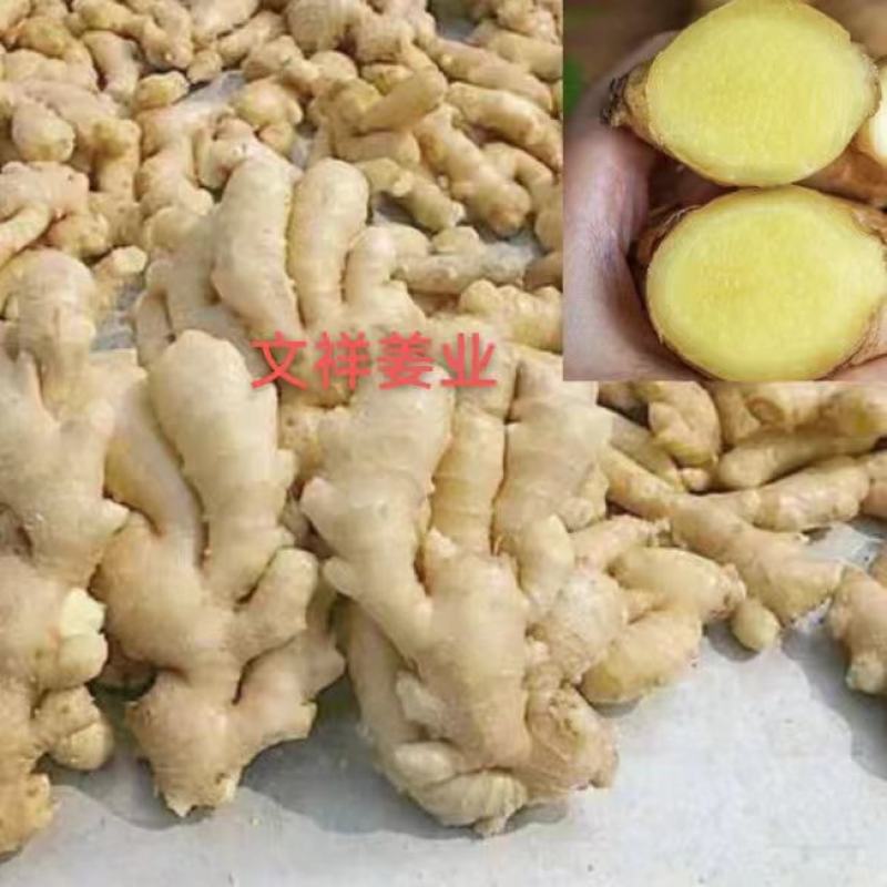 供应优质大黄姜出口标准，代存圆头姜，生姜产地一手货源