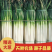 【精选】铁杆大葱-产地直发-量大从优-可验货看视频看货
