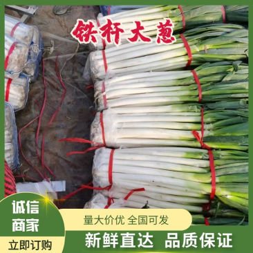 【实力】山东临沂铁杆大葱-量大从优-价格优惠-对接商超