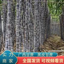 精品黑皮甘蔗广西黑皮甘蔗崇左甘蔗量大从优产地发货