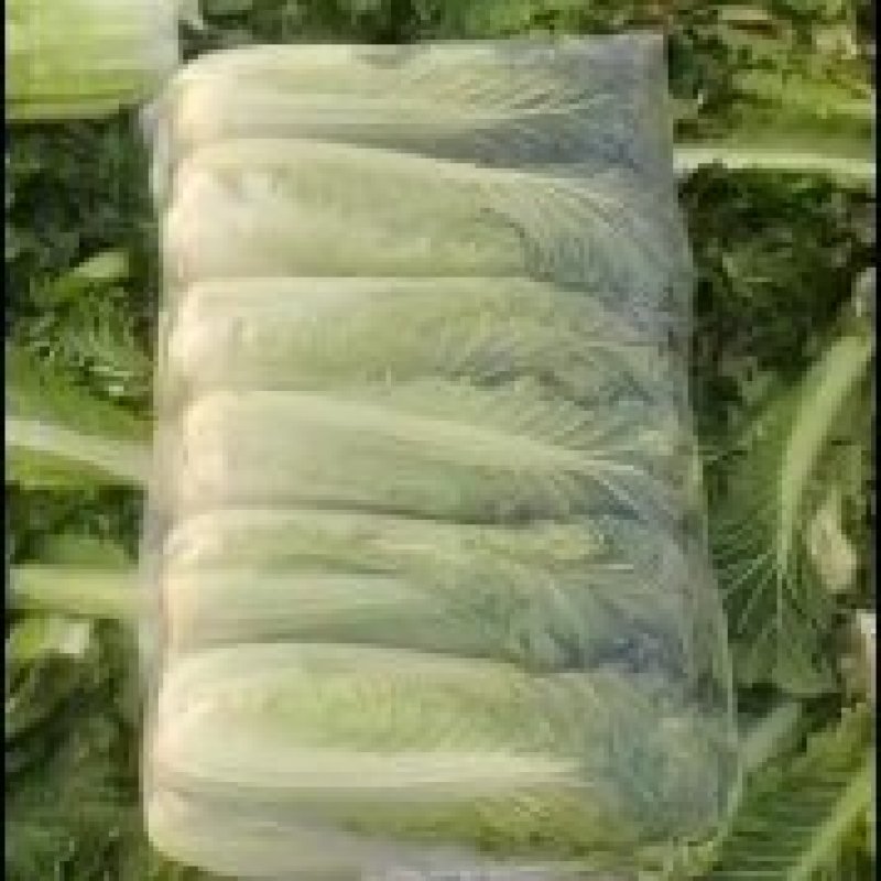 青口白(青麻叶)